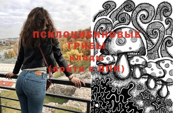 МДПВ Бронницы